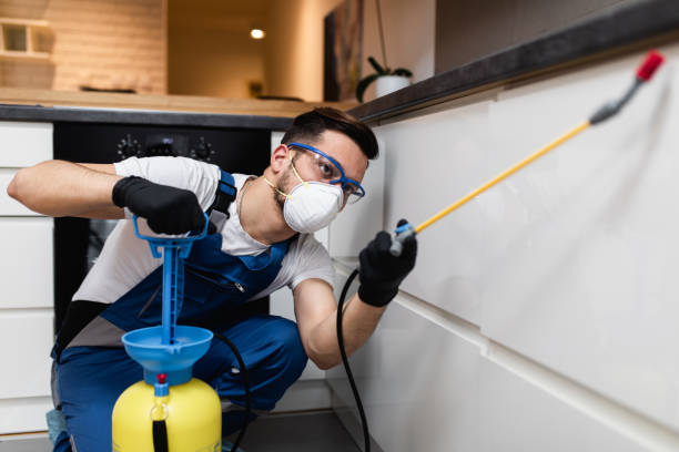 Best Pest Inspection Near Me  in Carbon Cliff, IL