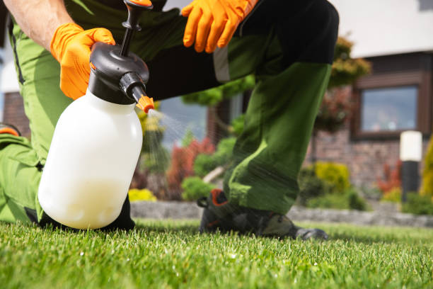 Best Local Pest Control Services  in Carbon Cliff, IL