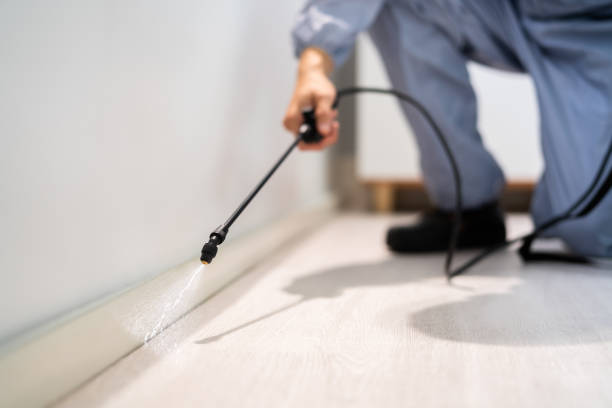 Best Local Pest Control Services  in Carbon Cliff, IL