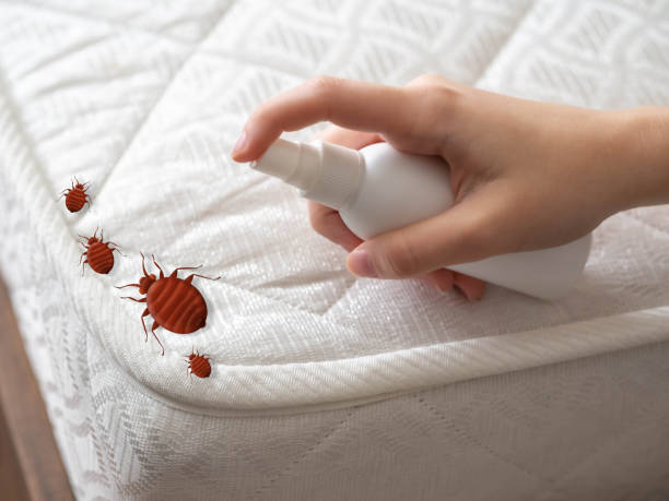 Trusted Carbon Cliff, IL Pest Control Experts