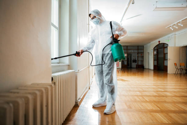 Wasp Removal Services in Carbon Cliff, IL